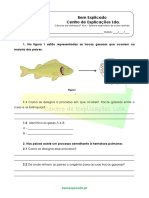 A.3.4 - Sistema Respiratório de Outros Animais - Ficha de Trabalho