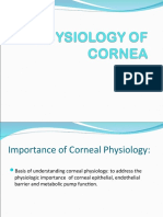 Cornea Physiology