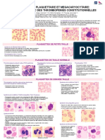 Morphologie Plaquettaire Et Megacaryocytaire