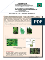 Taller El Reino de Las Plantas