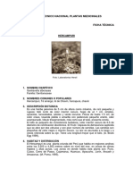 Ficha Tecnica Informacion Economica Hercampuri 2006 Keyword Principal