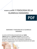 Anatomia y Fisiologia de La Glandula Mamaria