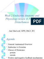 Week 2 Endocrine Anatomy and Physiology Review & Pituitary Disturbances