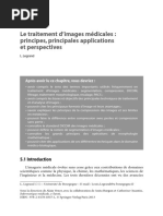 Le Traitement D'images Médicales: Principes, Principales Applications Et Perspectives