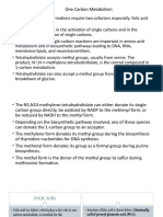 One Carbon Metabolism