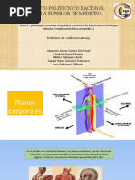 Biomecanica Articular