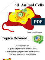 Plant and Animal Cells: Grade 4 Unit 3 Lesson 1