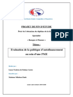 PFE Politique D'autofinancement PME