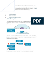 ANS Receptors