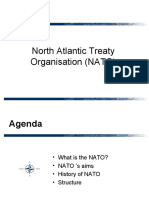 North Atlantic Treaty Organisation (NATO)