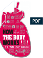 How The Body Works