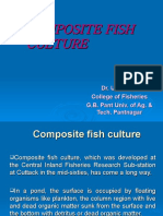 Composite Fish Culture