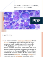 Generalidades de La Citologia