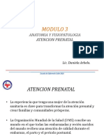 Anatomía - 6 - Atencion Prenatal