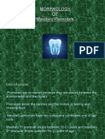 Maxillary Praemolars