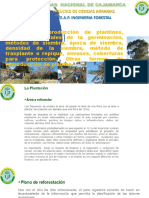 Semana10 Introduccion A Las Ciencias Forestales