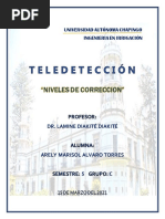 t7. Niveles de Correccion