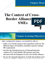 The Context of Cross-Border Alliances and Smes: Chapter Three