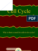 Cell Cycle