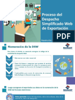 Proceso Del Despacho Simplificado Web de Exportación