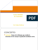 1.) Generalidades de Anatomía y Principios Morfológicos, Generalidades de Osteología - Prof. Pedro Bolívar