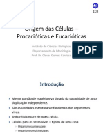 Aula 01 - Origem Das Células - Procarióticas e Eucarióticas