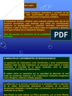 Capitulo III - Tratamiento de Aguas Tratamiento Tercieario