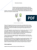 Clinical Significance: Dermatomes of The Head, Face, and Neck