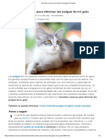 Remedios Caseros para Eliminar Las Pulgas de Mi Gato