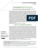 Advances in Propagation of Ficus Carica L.: Avanços Na Propagação Da Figueira