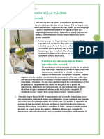 CS NT Desarrollo de Las Plantas