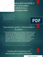 Transformación Genética de Plantas para Resistencia A Enfermedades
