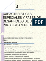 TEMA 3 Caracteristicas Especiales