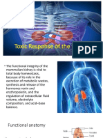 Toxic Response of The Kidney