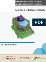 Conceptos Básicos de Biología Celular-1