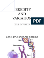 Heredity AND Variation: Cell Division