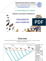 Diversidad de Cordados Cap 6-Diversidad de Aves