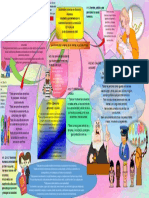 Mapa Mental-Derechos Humanos Segun La Declaracion Universal de Los Derechos Humanos de 1948. Stefany Biondi