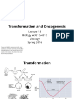 Transformation and Oncogenesis: Biology W3310/4310 Virology Spring 2016