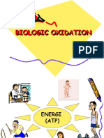 1.biology Oxidation 1 k19 k20