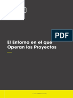 El Entorno en El Que Operan Los Proyectos