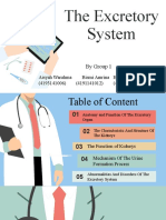 The Excretory System: by Group 1