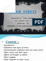 Moisture Stress of Plant