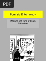 Introduction To Forensic Science Forensic Entomology