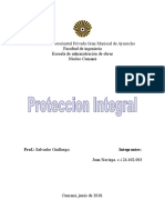 Proteccion 2