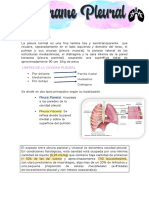 Derrame Pleural