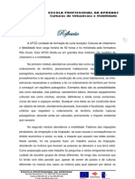 Reflexão de Culturas de Urbanismo e Mobilidade