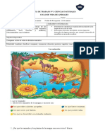 Guía 3° Básico N°1 Ciencias Naturales, Ciclo de Vida de Los Animales