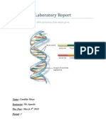 Laboratory Report - DNA Extraction