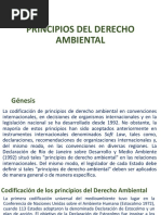 Principios Del Derecho Ambiental